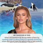 Lala Kent Instagram - 🌊 #VanderpumpRules star @lalakent is making a splash for Corky the orca at #SeaWorld’s annual shareholder meeting 🌊⁠  ⁠ She’s calling on the abusement park to retire Corky to a seaside sanctuary! Help us free Corky ➡️ https://peta.vg/3o35⁠