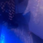 Lali Espósito Instagram - ♥️🌈El Amor🌈♥️