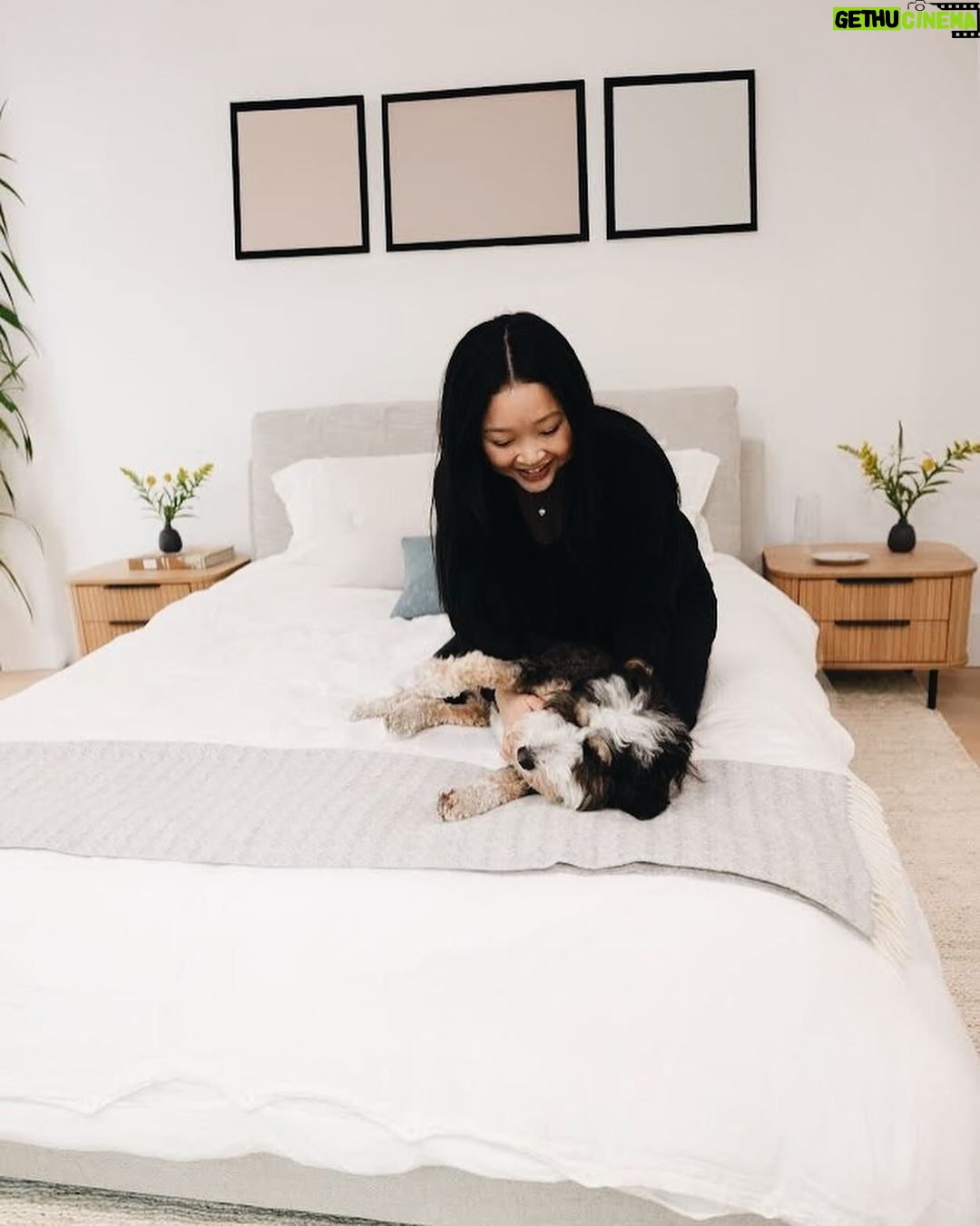 Lana Condor Instagram - cozy slice of heaven, re did my guest room just in time for the holidays with a little help from my friends @sundaysfurniture 🫶🏽 #sundayspartner