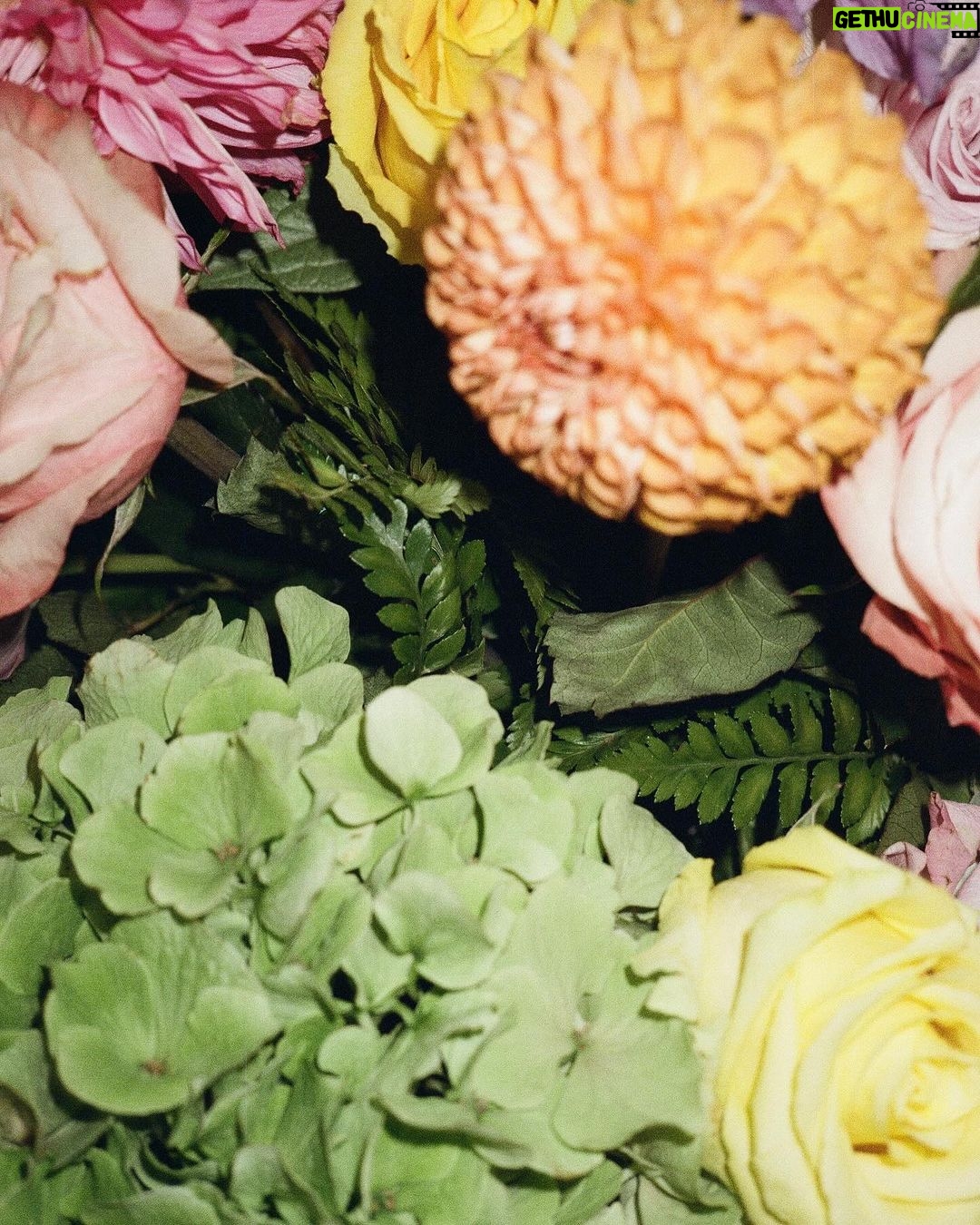 Lana Condor Instagram - film from a dreamy summer ðŸ’