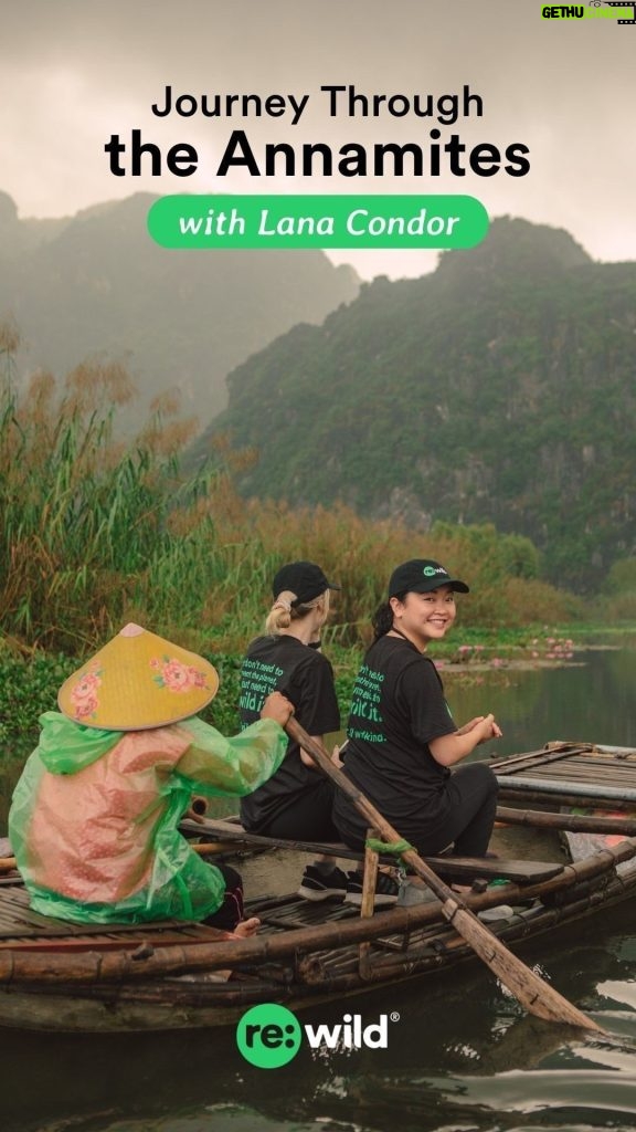Lana Condor Instagram - “The Annamite Mountains are an ancient landscape in Southeast Asia, on the border between Laos and Vietnam. These mountains are covered in lush rainforest. When you’re standing on the side of the mountain, surrounded by the sounds and the warm jungle scents of the forests here, it feels almost like the wild has swallowed you whole. Like you’ve become part of it. I joined Re:wild on an expedition to the Annamites, where they are working with their partners to protect and restore the wild. This is the story of the time that I spent there.” - @lanacondor Learn more about the Annamites through Lana’s eyes, and how Re:wild is working to protect and restore the wild there >> Link in bio.