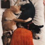 Lana Condor Instagram - I need to take a nap lol Manhattan, New York