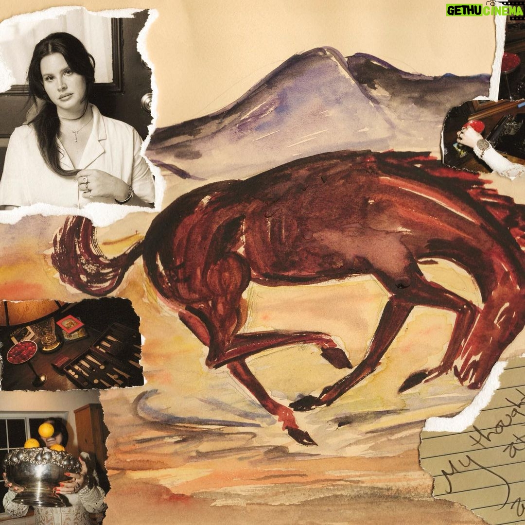 Lana Del Rey Instagram - They wanted collages 🎨