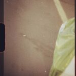 Lana Del Rey Instagram – We been everywhere