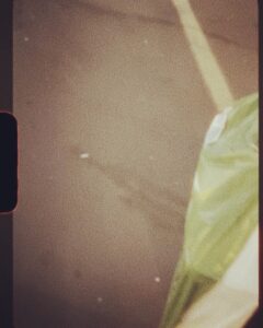 Lana Del Rey Instagram - We been everywhere