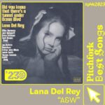 Lana Del Rey Instagram -