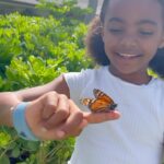Lance Gross Instagram - Releasing Butterflies for my Dad 4.5.17 🕊️🦋 Thank you @becmgross