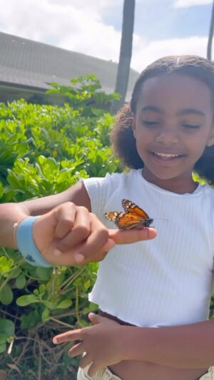 Lance Gross Instagram - Releasing Butterflies for my Dad 4.5.17 🕊️🦋 Thank you @becmgross
