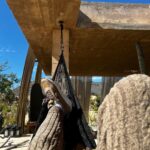 Lance Gross Instagram – You can always find me in a hammock & a dope hotel. Happy 🤎 day