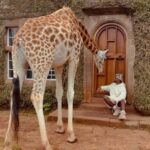 Lance Gross Instagram - Giraffe Manor