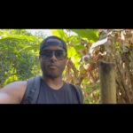 Larenz Tate Instagram - Connecting with Mother Nature…ya dig! Fresh air. Sunshine. Trees. Fresh fruits. Insects. All of it. Yes indeed! #Nature 🙌🏾🙏🏾❤️ #RainForest 🌦🌳💧🕷🕸🐞 #HikingAdventures 🏃🏾‍♂️🌴☀️🍐🪲🐛🌺😎 Maui Hawaii