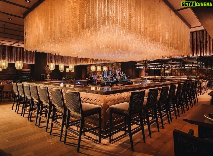 Larenz Tate Instagram - Bossed Up! Ya dig! Grand Opening to our newest location. SUNDA Fulton Market - Chicago! Congrats Partner & CEO @billydec and to our amazing @sundanewasian family & team! More locations on the way!!! #Chicago #Business #Restaurateur #Entrepreneur Chicago, Illinois