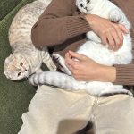 Larray Instagram - sorry i ghosted you, too busy being a cat dad