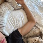 Larray Instagram - sorry i ghosted you, too busy being a cat dad