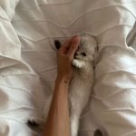 Larray Instagram - what do we name her !!!