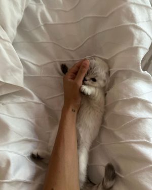 Larri Merritt Instagram - what do we name her !!!