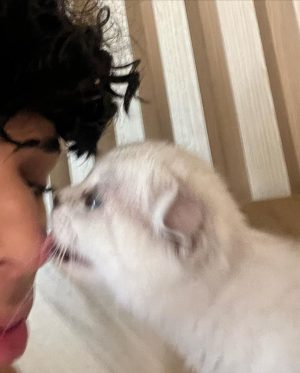 Larri Merritt Instagram - what do we name her !!!