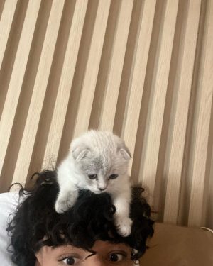 Larri Merritt Instagram - what do we name her !!!
