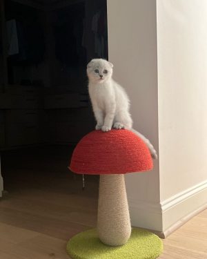Larri Merritt Instagram - what do we name her !!!