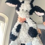 Larray Instagram -