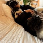 Larray Instagram - father of 4 🐾🐾🐾🐾