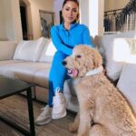 Larsa Pippen Instagram – Tis the season of giving and I love gifting presents to my friends. The perfect gift is the @halocollar which lets you create wireless fences for your dog and tracks your dogs every step