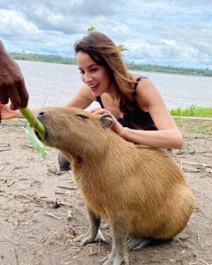 Laura Londoño Instagram - Aquí estoy acostada en una hamaca en un lugar recóndito en el Amazonas, feliz de grabar #planetacalleja con @jesuscallejatv y todo el equipo fantástico de @zanskarproducciones
Y hoy por fin sale al aire para todos ustedes,  para que viajen con nosotros desde donde nos vean. He de confesar que este es mi trabajo favorito en la vida,  viajar para descubrir lugares maravillosos y compartirlos con todos.  Ojalá disfruten este viaje tanto como yo! 

Disponible hoy a las 22.50H España por @cuatrotv