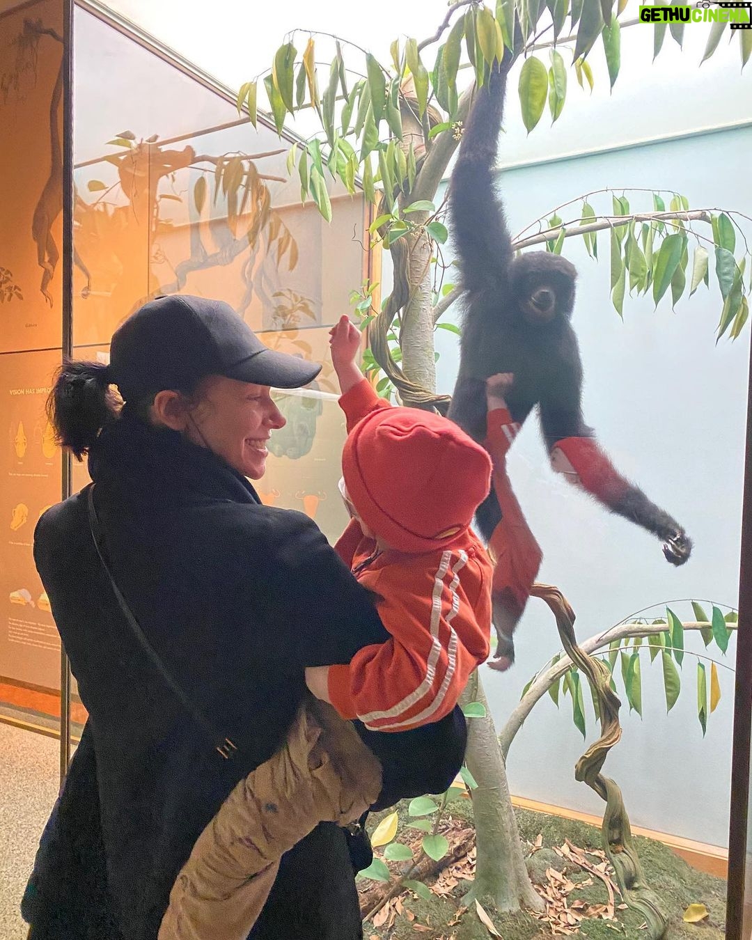 Laura Prepon Instagram - Making friends at the museum. 🐒