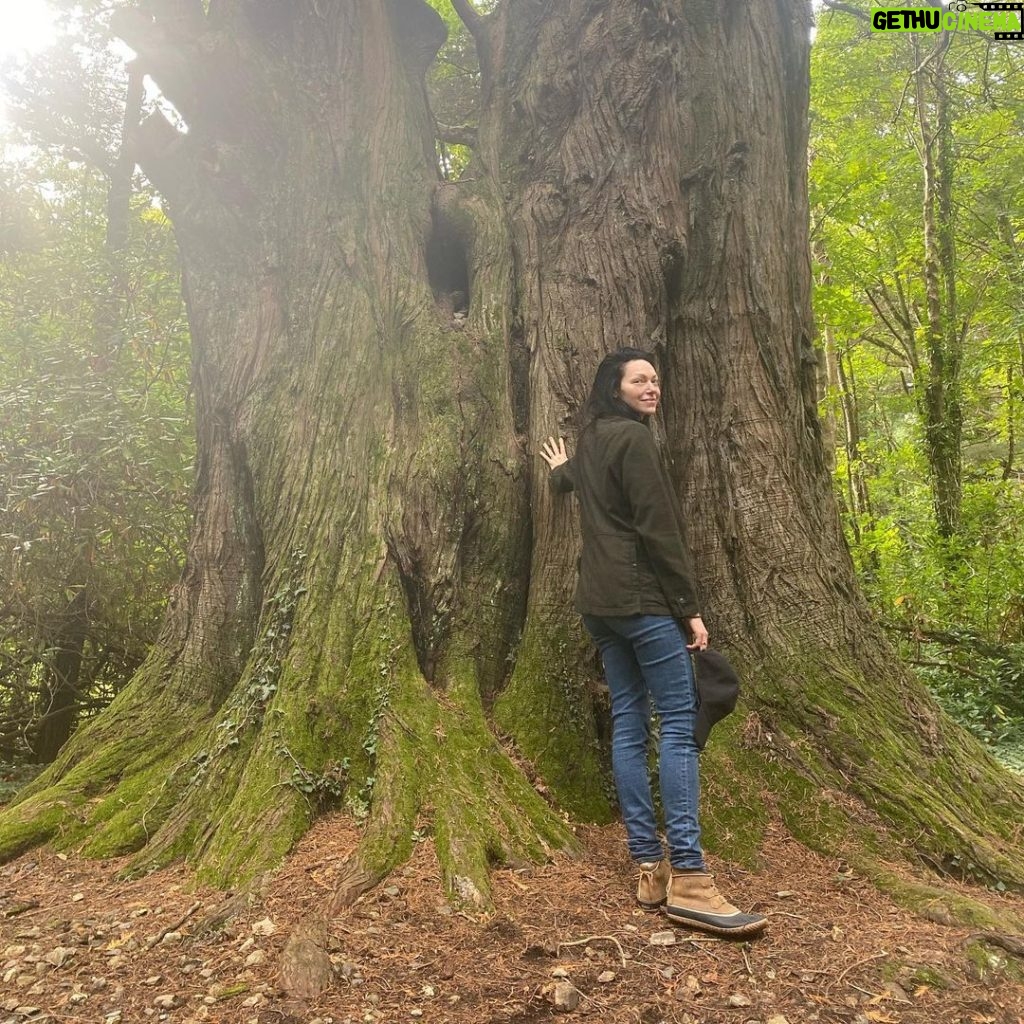 Laura Prepon Instagram - Talking to trees in Ireland💚🤍🧡
