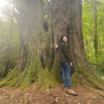 Laura Prepon Instagram - Talking to trees in Ireland💚🤍🧡