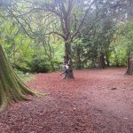 Laura Prepon Instagram - Talking to trees in Ireland💚🤍🧡