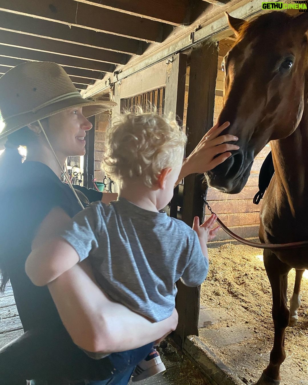 Laura Prepon Instagram - Making some new friends 🐴🥰