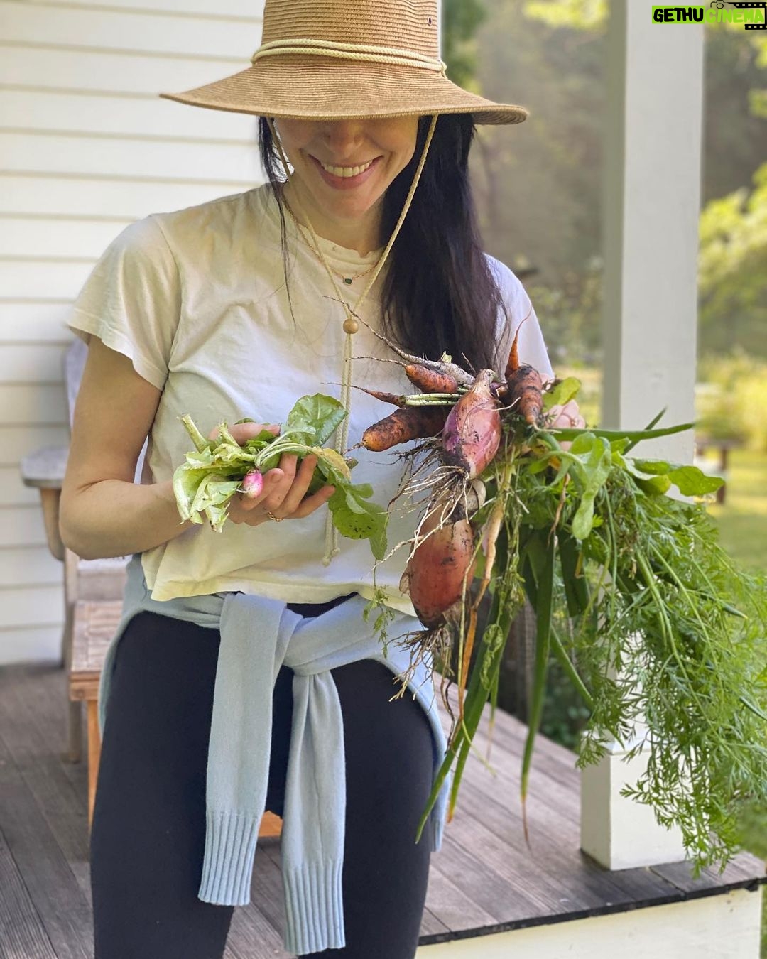 Laura Prepon Instagram - Fresh veggies from the garden. One of my happy places! What’s yours?