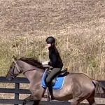 Laura Prepon Instagram - Spent the morning at one of my happy places with a four legged friend🐴💞