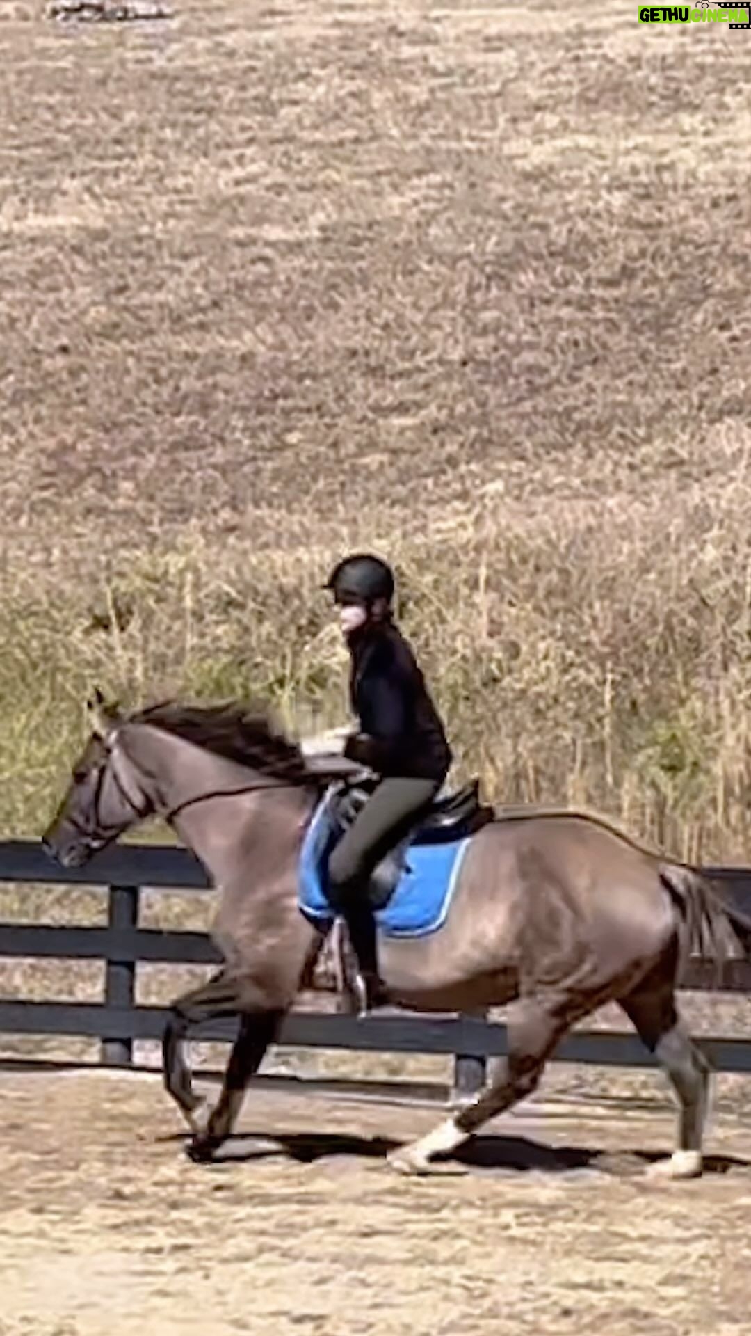 Laura Prepon Instagram - Spent the morning at one of my happy places with a four legged friend🐴💞