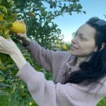 Laura Prepon Instagram - I’ll miss picking fresh lemons for our meals once I head back to NY! 🍋