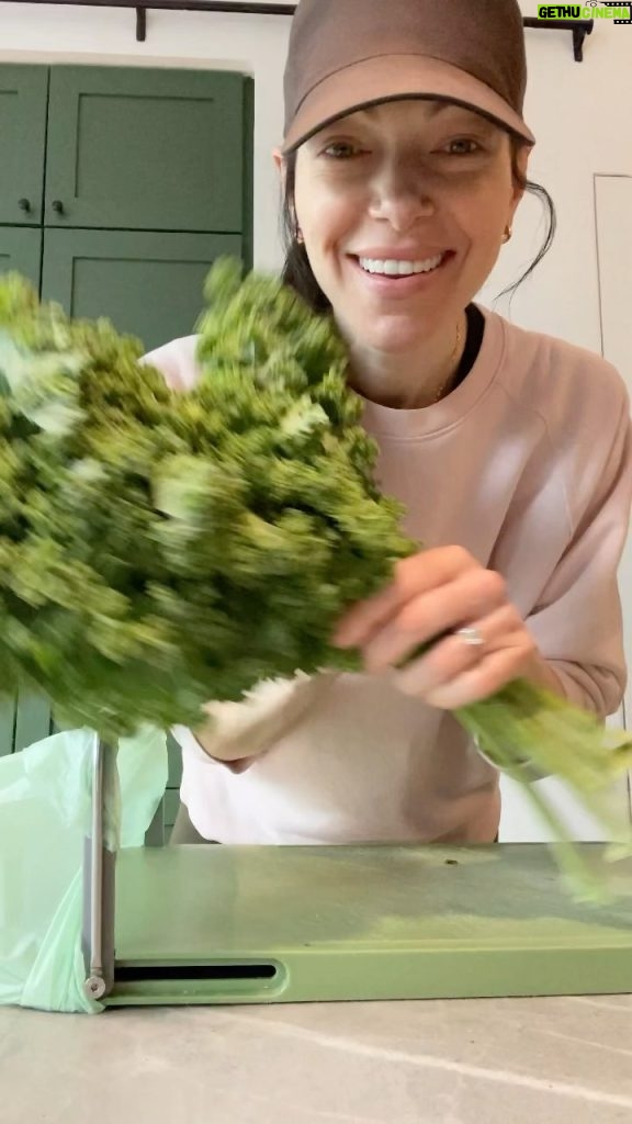 Laura Prepon Instagram - The assignment is: how to prep kale, get rid of any little buggos, and have it ready to go for quick recipes! 🥬 #PrepOn #GetYourPrepOn