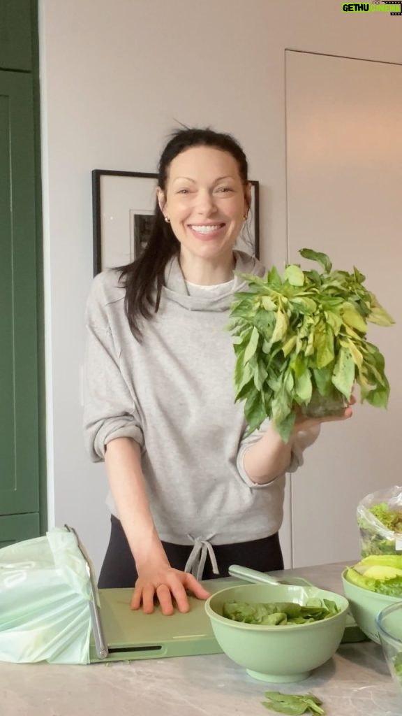 Laura Prepon Instagram - This week, I went to my local farmers market! One of my happy places. Hang with me as I #PrepOn my family’s food for the week so that it’s ready to reimagine into daily meals. #GetYourPrepOn