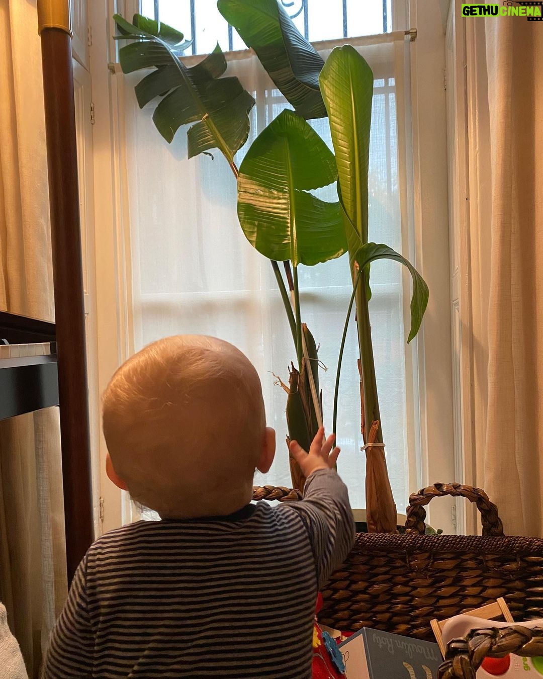 Laura Prepon Instagram - New growth! We are all excited about Plant’s new leaf that’s about to uncurl! 🌱