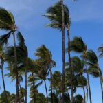 Lauren Orlando Instagram – me on the beach The Big Island, Hawaii