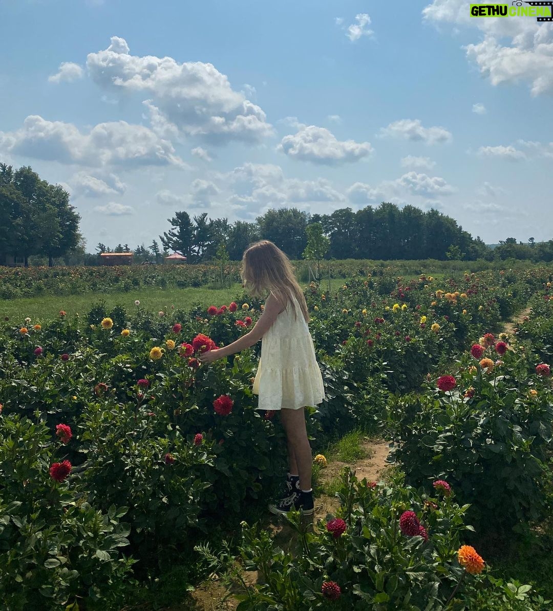 Lauren Orlando Instagram - gonna miss this