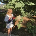 Lauren Orlando Instagram - we heard it was golden hour
