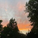 Lauren Orlando Instagram - summatime