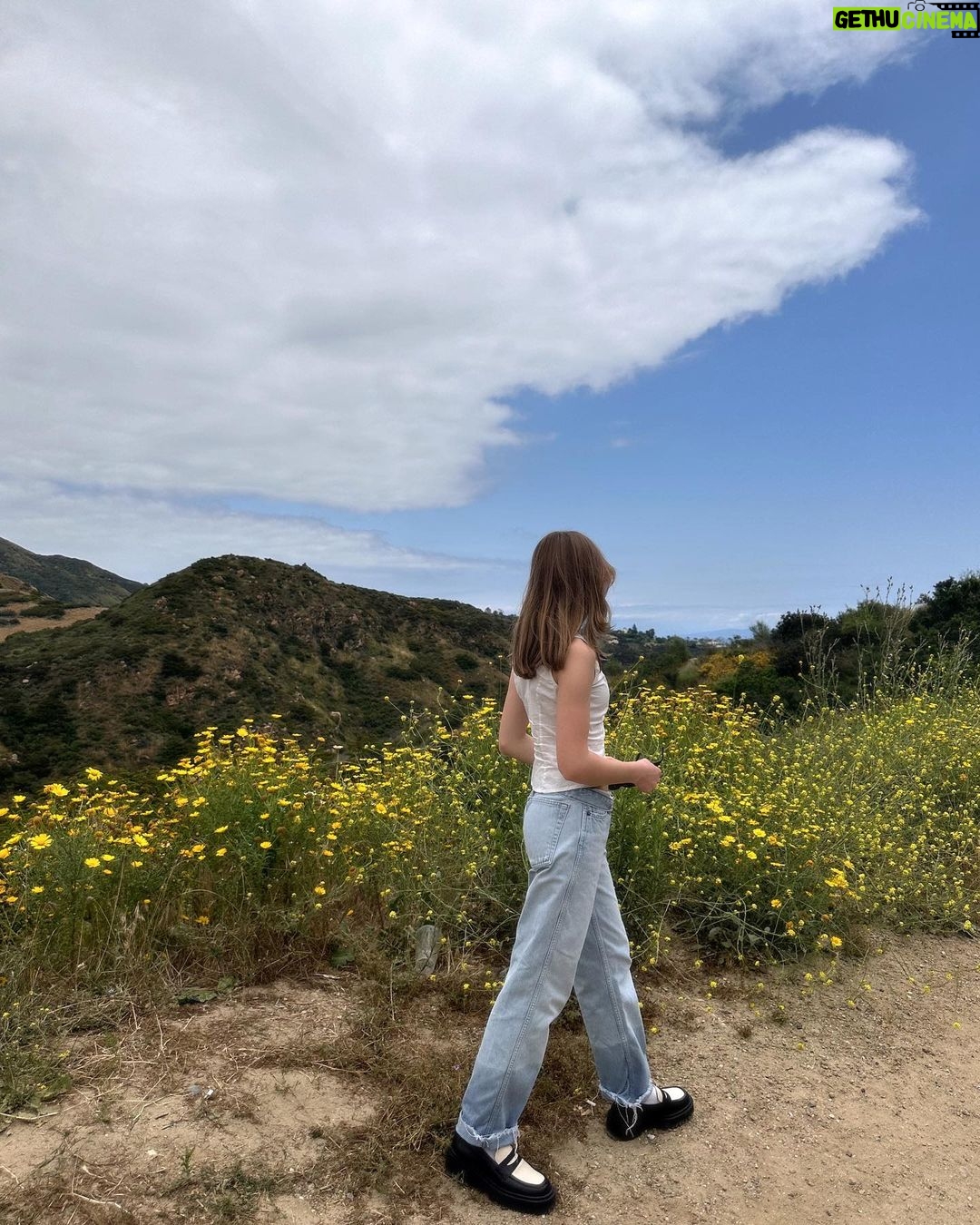 Lauren Orlando Instagram - summer reading