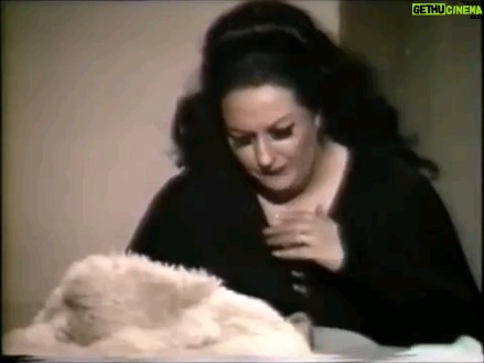Laverne Cox Instagram - This is my Ish! The late, incredibly great #MontserratCaballé gives me my entire life here. This is bel canto! The legato, legato, legato. The squillo. The chest voice. The drama, the drama, the drama!! It's just divine singing. Gurl, get your life with this Bellini! #opera