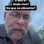 Leandro Hassum Instagram – No Lelê Coach dessa noite!Me conta aí. Vc é desses?👇