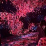 Leandro Hassum Instagram - Uma exposição incrível @teamlab @teamlab.planets se vier ao Japão vale muito a experiência existem várias nos fomos no planets tem o border less vai o @ do teamlab. E busque mais infos. Bom dia Brasil. Azabudai