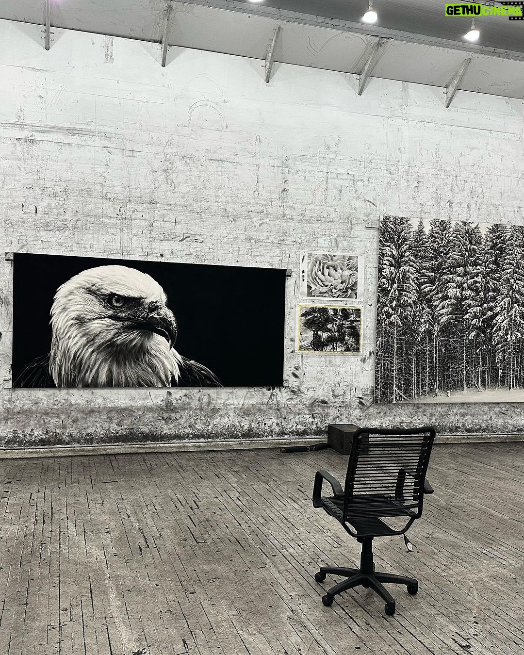 Lee Chae-rin Instagram - 백조의 날개 🪽#robertlongo