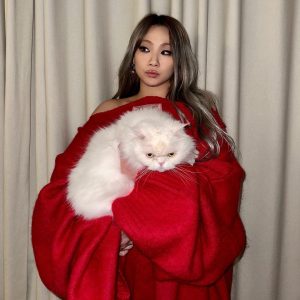 CL Instagram - 