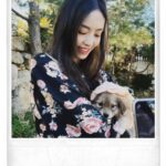 Lee Da-hee Instagram - 뽀시래기 아가 댕댕이🐶